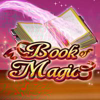 Book of Magic in sub_mysterydrops