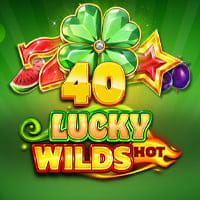 40 Lucky Wilds Hot in sub_mysterydrops