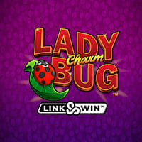 Lady Charm Bug in Irish