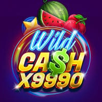 Wild Cash X9990 in Sub_MoreNewGames