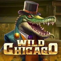 Wild Chicago