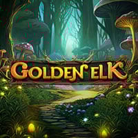 Golden Elk in wizard