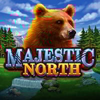 Majestic North in wizard