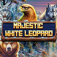Majestic White Leopard in Spinomenal