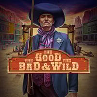 The Good the Bad and the Wild in wizard
