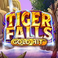 Gold Hit: Tiger Falls in Favourites