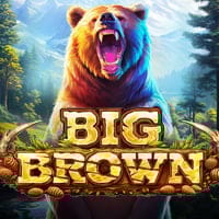 Big Brown in Sub_RecentSuccess
