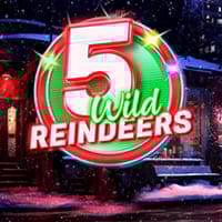 5 Wild Reindeers in spinberry