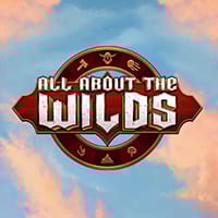 All About the Wilds in spinberry