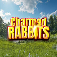 Charmed Rabbits in spinberry