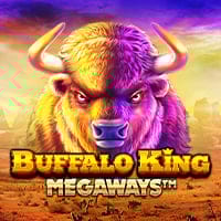 Buffalo King Megaways in CountlessWays