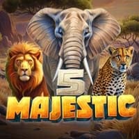 5 Majestic in Armadillo