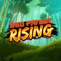 Red Panda Rising in Armadillo