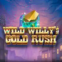 Wild Willy's Gold Rush in Armadillo